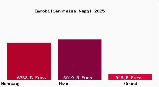 Immobilienpreise Naggl