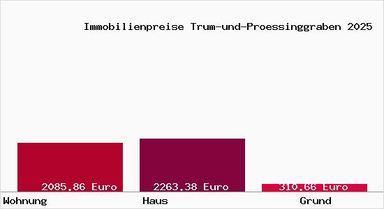 Immobilienpreise Trum-und-Proessinggraben