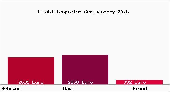 Immobilienpreise Grossenberg