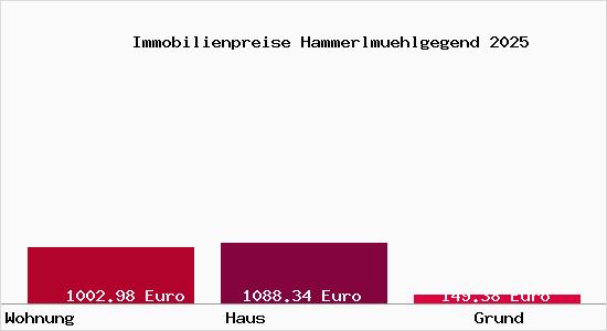 Immobilienpreise Hammerlmuehlgegend