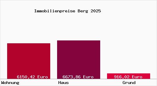 Immobilienpreise Berg