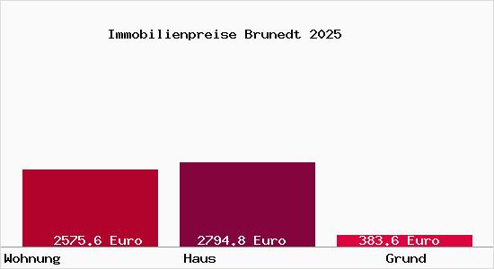 Immobilienpreise Brunedt