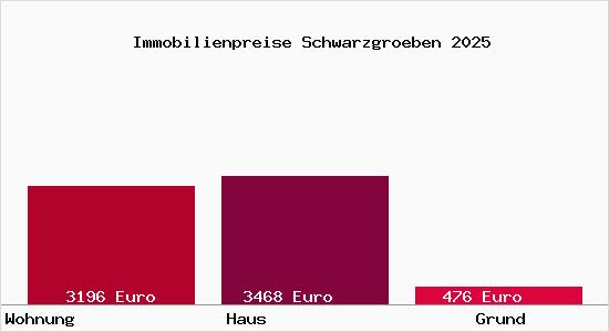 Immobilienpreise Schwarzgroeben