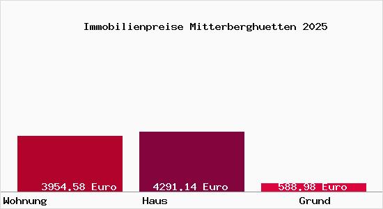 Immobilienpreise Mitterberghuetten
