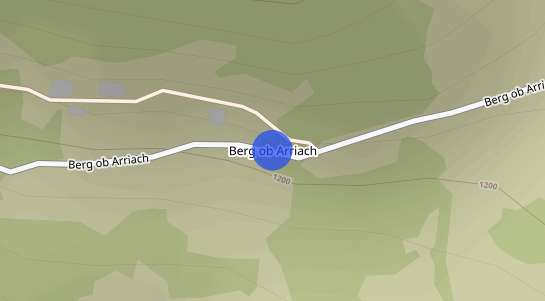 Immobilienpreise Berg ob Arriach