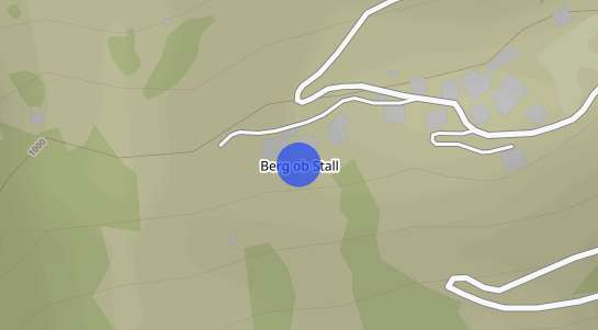Immobilienpreise Berg ob Stall
