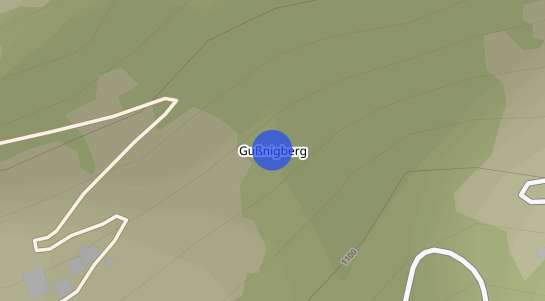 Immobilienpreise Gußnigberg