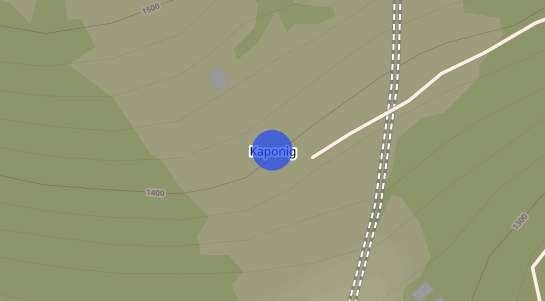 Immobilienpreise Kaponig