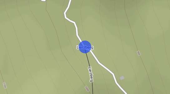 Immobilienpreise Lierzberg