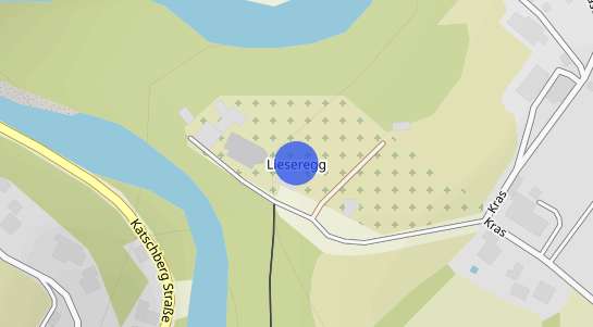 Immobilienpreise Lieseregg