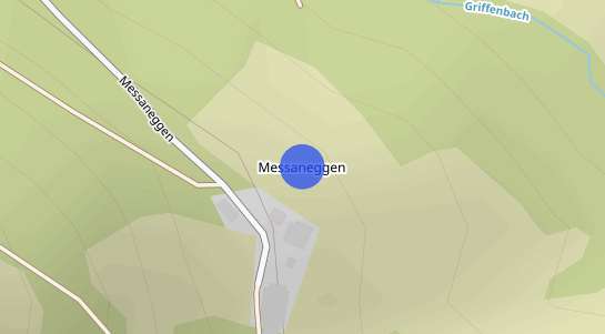 Immobilienpreise Messaneggen