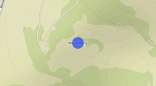 Immobilienpreise Muraniberg