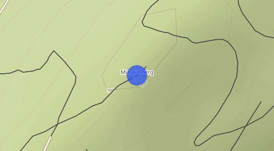 Immobilienpreise Muraunberg