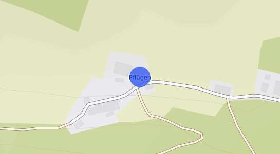 Immobilienpreise Pflügen