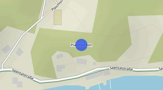 Immobilienpreise Plaschischen