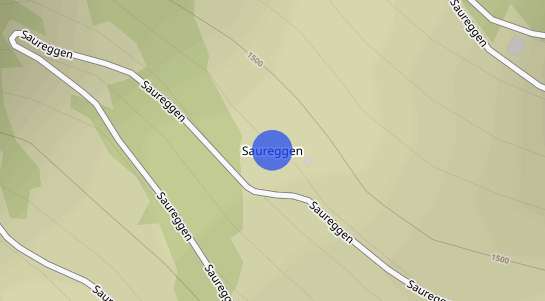 Immobilienpreise Saureggen