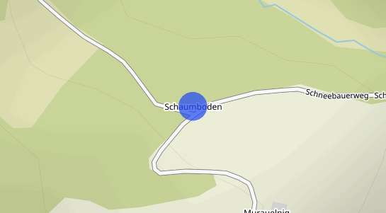 Immobilienpreise Schaumboden