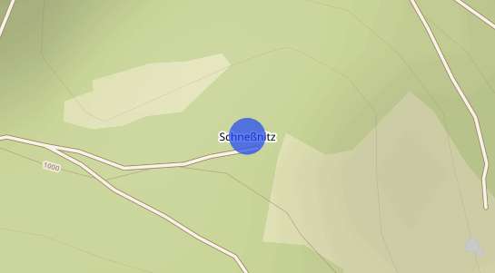 Immobilienpreise Schneßnitz