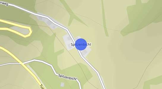 Immobilienpreise Spitzenbichl