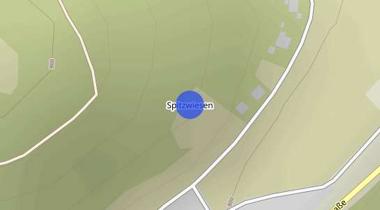 Immobilienpreise Spitzwiesen