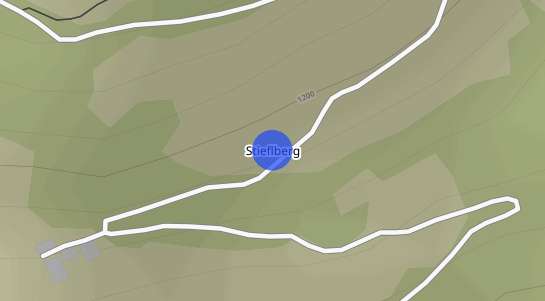 Immobilienpreise Stieflberg