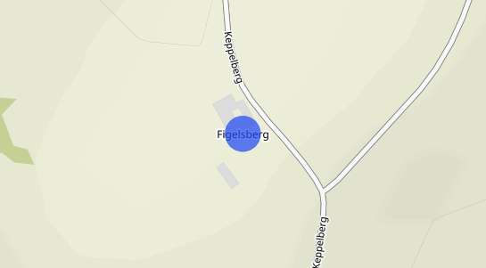 Immobilienpreise Figelsberg