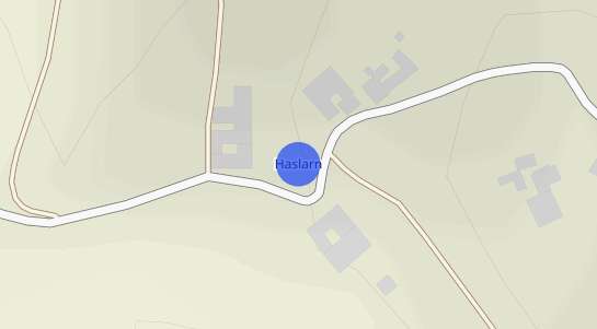 Immobilienpreise Haslarn