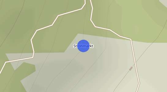Immobilienpreise Strohmarkt