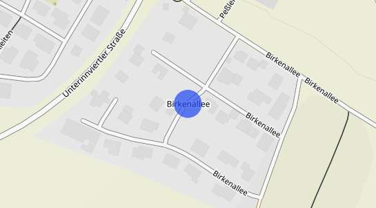 Immobilienpreise Birkenallee