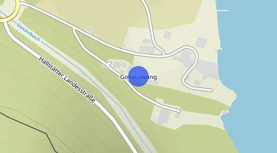 Immobilienpreise Gosauzwang