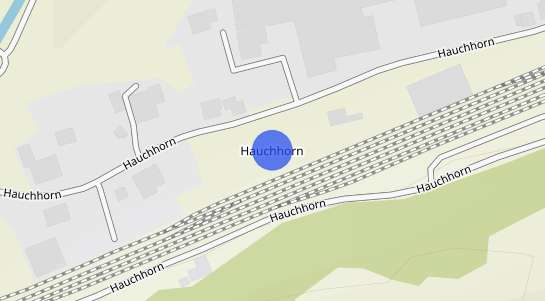 Immobilienpreise Hauchhorn