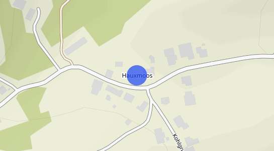 Immobilienpreise Hauxmoos
