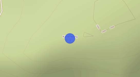 Immobilienpreise Kiesenberg