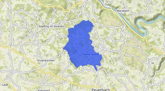 Immobilienpreise Natternbach