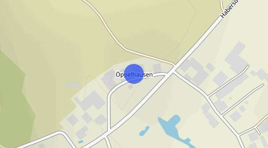 Immobilienpreise Öppelhausen