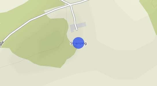 Immobilienpreise Strienzing