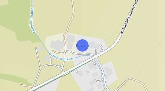 Immobilienpreise Gastein
