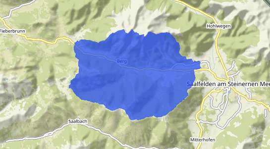 Immobilienpreise Leogang