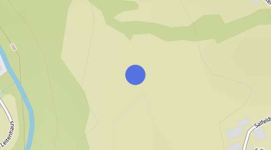 Immobilienpreise Salfelden