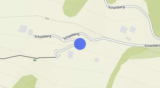 Immobilienpreise Schattberg