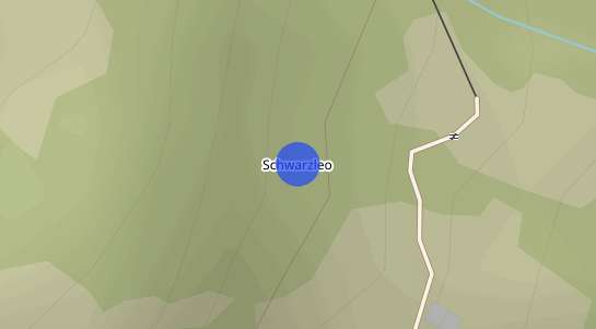 Immobilienpreise Schwarzleo