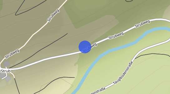 Immobilienpreise Tauglboden