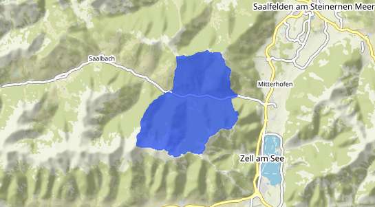 Immobilienpreise Viehhofen