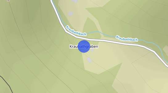 Immobilienpreise Kraubathgraben