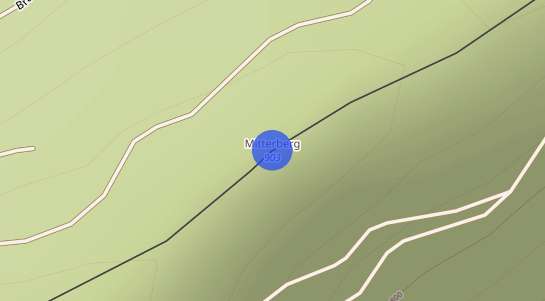 Immobilienpreise Mitterberg