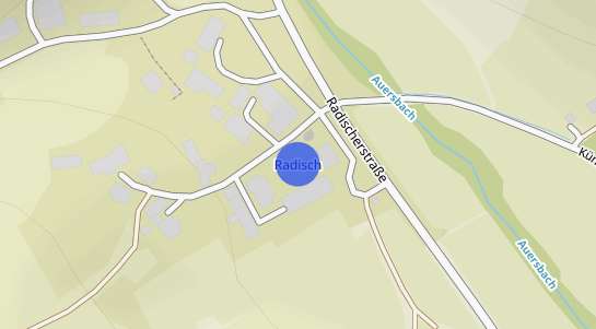Immobilienpreise Radisch
