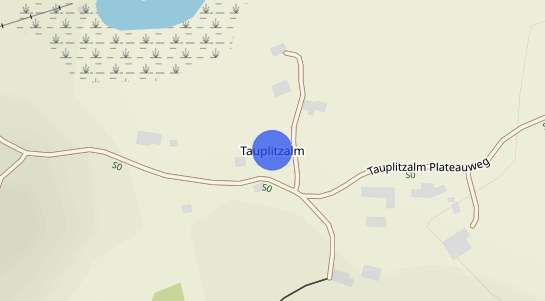 Immobilienpreise Tauplitzalm