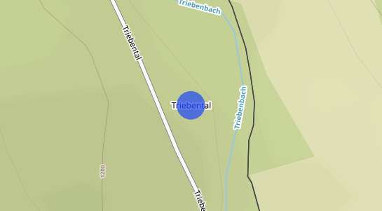 Immobilienpreise Triebental
