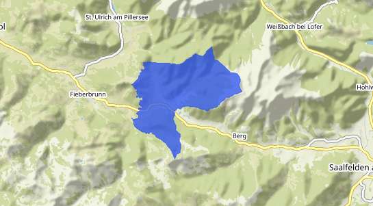 Immobilienpreise Hochfilzen